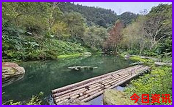广西暑假带孩子去哪旅游好
